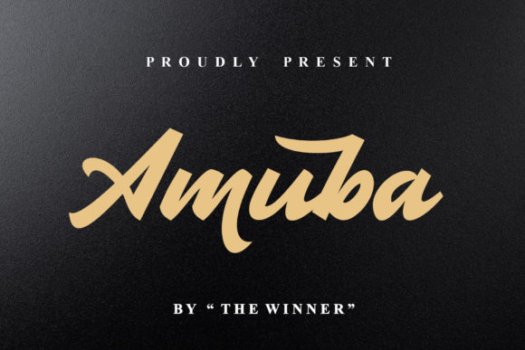 Amuba: A Bold Choice for Web Design
