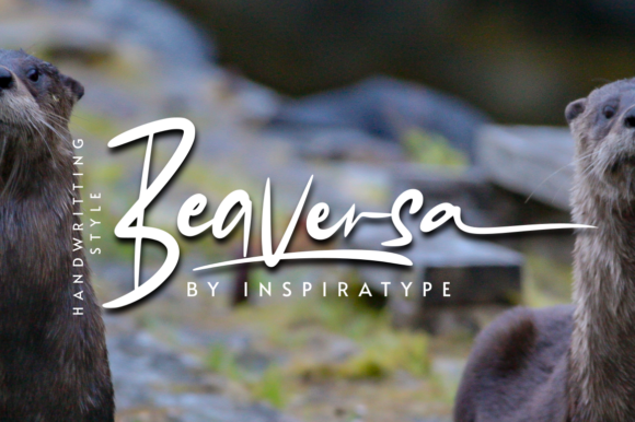 Beaversa: A Font That Elevates Your Brand