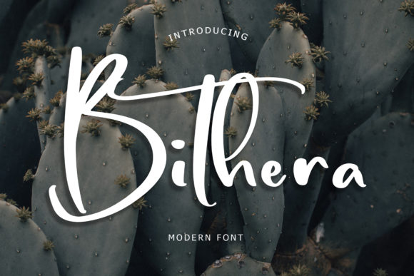Bithera: The Font That Boosted My Bakery’s Brand