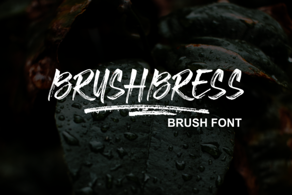 Brushbress: A Font That Breathes Life Into Your Craft