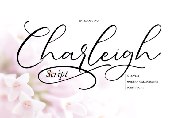 Charleigh: A Sweet Script for Branding Magic