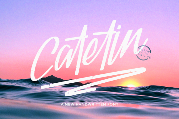 Font Choice That Speaks Volumes: How Catetin Elevates Your Campaigns