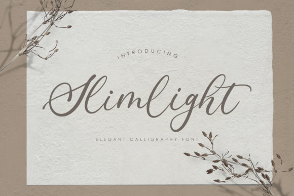 Introducing Slimlight: The Font That Elevates Your Digital Brand