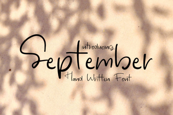 September: A Dainty Handwritten Font for Warm Branding